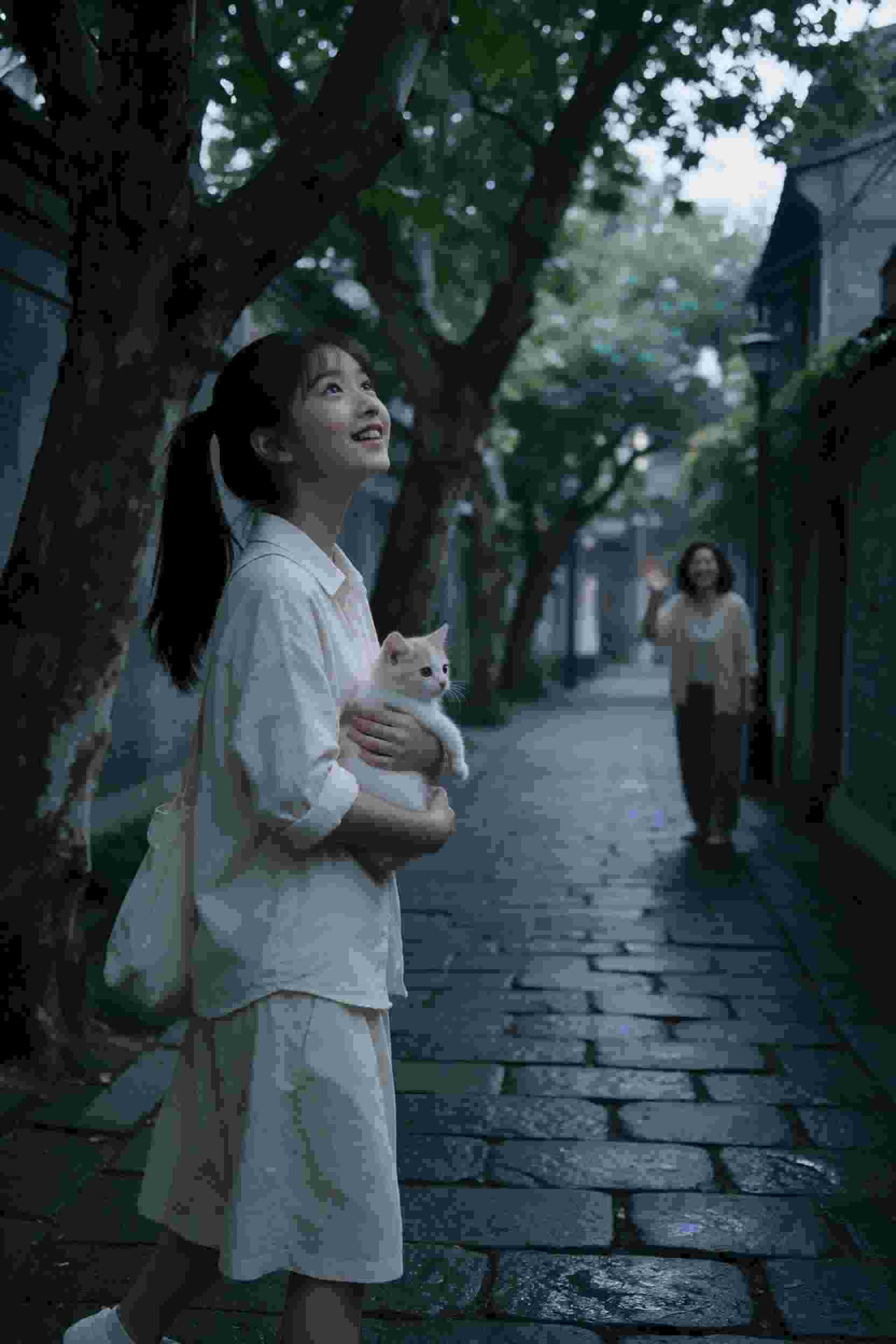 千灯巷 缩略图